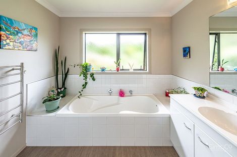 Photo of property in 1c Chester Road, Springvale, Wanganui, 4501