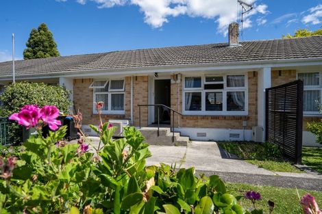 Photo of property in 3b Vogel Street, Cambridge, 3434