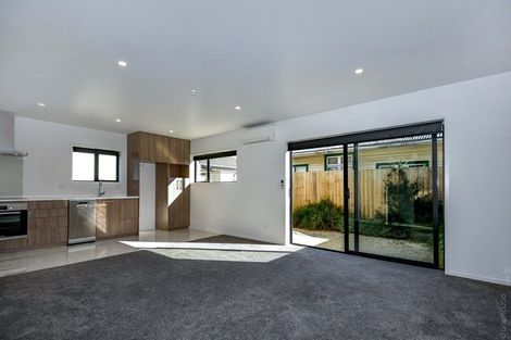 Photo of property in 24b Parlane Street, Addington, Christchurch, 8024