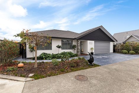 Photo of property in 60c Roy Street, Palmerston North, 4410