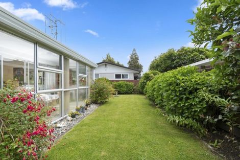 Photo of property in 224 Fourteenth Avenue, Tauranga South, Tauranga, 3112