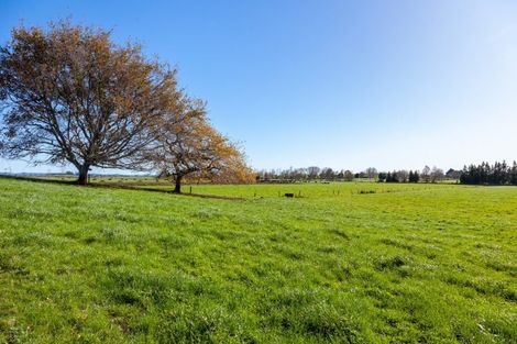 Photo of property in 1/69 Douch Road, Ohaupo, 3882