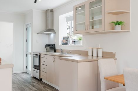 Photo of property in 172a Nixon Street, Hamilton East, Hamilton, 3216