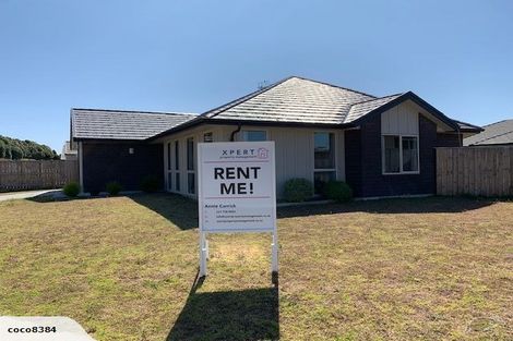 Photo of property in 4 Lakeside Terrace, Omokoroa, 3114
