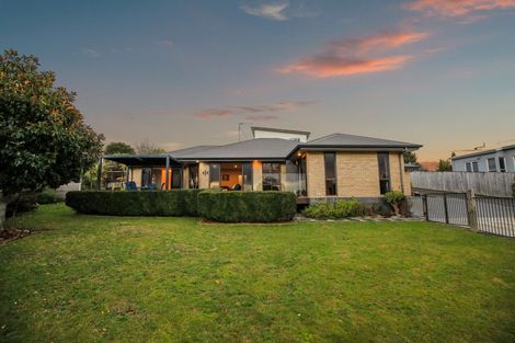Photo of property in 13 Alford Place, Huntington, Hamilton, 3210