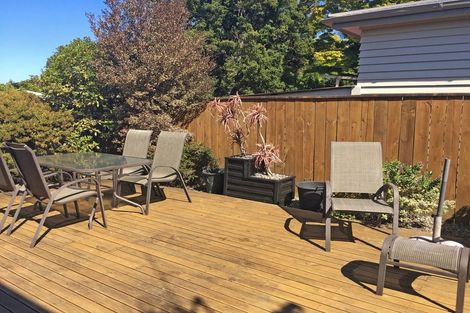 Photo of property in 8b Trewin Street, Feilding, 4702