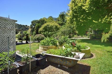 Photo of property in 785 Wharekopae Road, Ngatapa, Gisborne, 4072