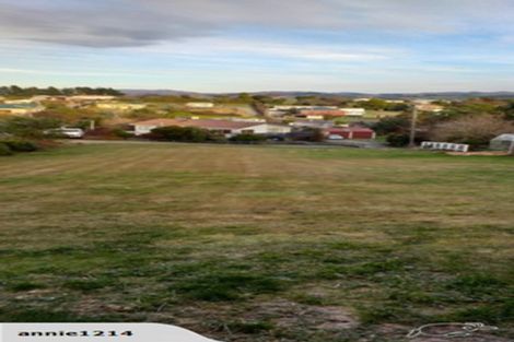 Photo of property in 10 Geelong Street, Waikouaiti, 9510