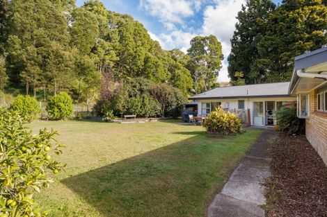 Photo of property in 213 Horahora Road, Piarere, Tirau, 3484