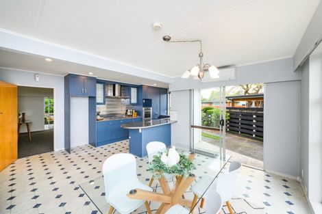 Photo of property in 30 Mokau Place, Terrace End, Palmerston North, 4410