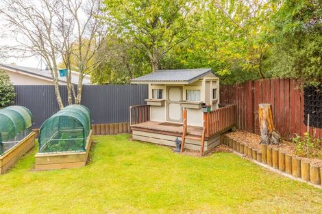 Photo of property in 12 Tutanekai Street, Waipukurau, 4200