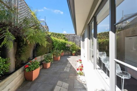 Photo of property in 92c Macfarlane Street, Hamilton East, Hamilton, 3216