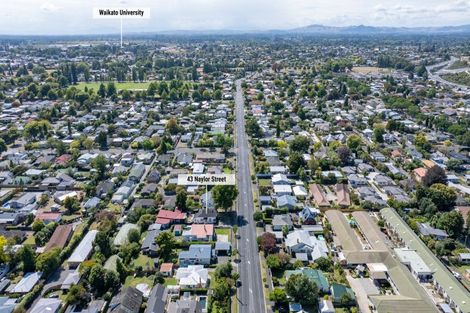 Photo of property in 43 Naylor Street, Hamilton East, Hamilton, 3216