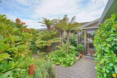 Photo of property in 272 Kingsbury Avenue, Rangiora, 7400