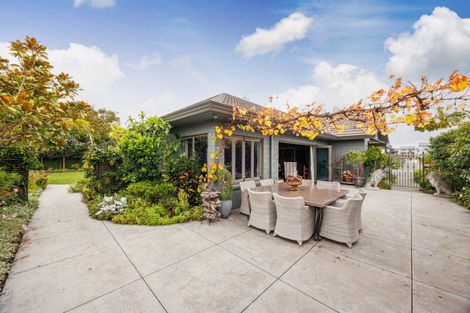 Photo of property in 23 North Street, Palmerston North, 4410
