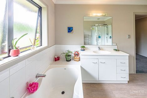 Photo of property in 1c Chester Road, Springvale, Wanganui, 4501