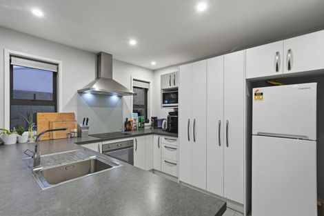 Photo of property in 19 William Nicholls Drive, Belfast, Christchurch, 8051