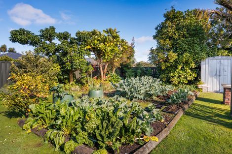 Photo of property in 21 Karina Terrace, Roslyn, Palmerston North, 4414