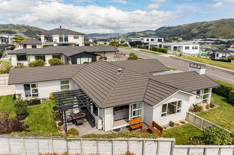 Photo of property in 65 John Burke Drive, Aotea, Porirua, 5024