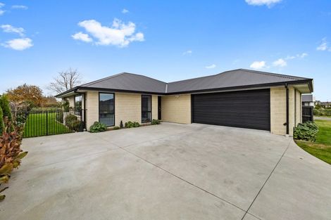 Photo of property in 23 Redhaven Rise, Netherby, Ashburton, 7700