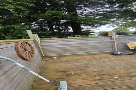 Photo of property in 17 Dewhurst Place, Favona, Auckland, 2024