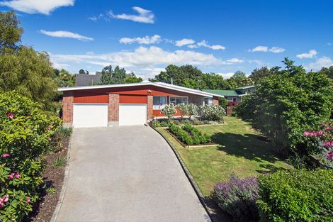 Photo of property in 23 Plunket Street, Kelburn, Wellington, 6012