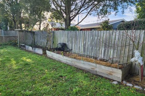 Photo of property in 45 Isaac Wilson Road, Kaiapoi, 7630