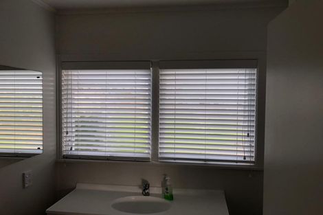 Photo of property in 117 Manuka Road, Bayview, Auckland, 0629