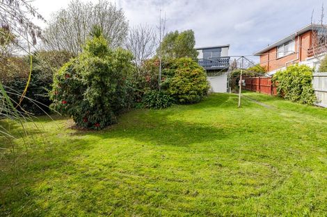 Photo of property in 33 Elliffe Place, Shiel Hill, Dunedin, 9013
