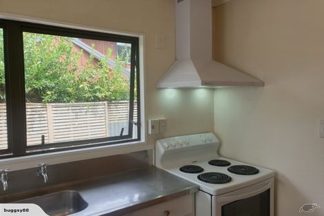 Photo of property in 127a Dey Street, Hamilton East, Hamilton, 3216