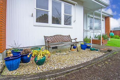 Photo of property in 80 Essex Street, Masterton, 5810