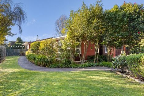 Photo of property in 10 Whitney Street, Blenheim, 7201
