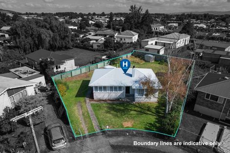 Photo of property in 17 Davies Street, Paeroa, 3600