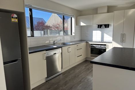Photo of property in 78 Andover Street, Merivale, Christchurch, 8014