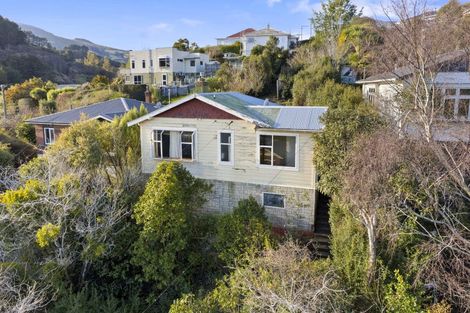 Photo of property in 15 Antrim Street, Normanby, Dunedin, 9010