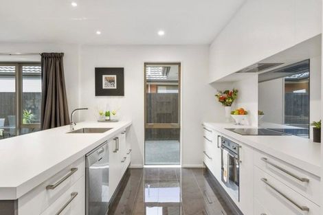 Photo of property in 14 Ronaldson Lane, Wigram, Christchurch, 8042