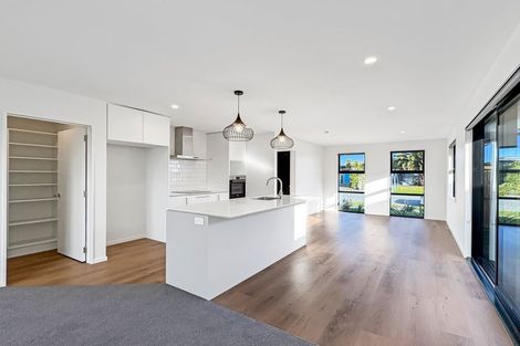 Photo of property in 10a Pax Avenue, Forrest Hill, Auckland, 0620