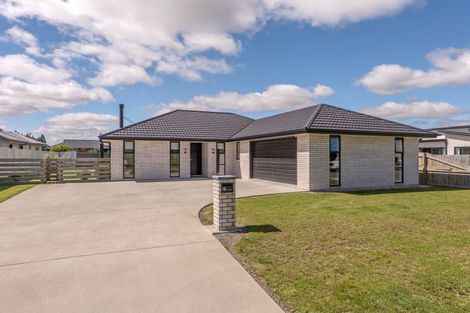 Photo of property in 16 Memorial Crescent, Methven, 7730