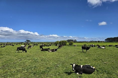 Photo of property in 189 Namu Road, Opunake, 4681