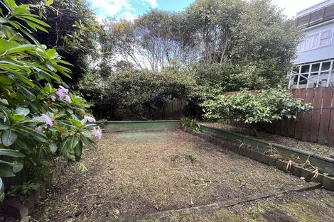 Photo of property in 7 Carrington Street, Mount Cook, Wellington, 6021