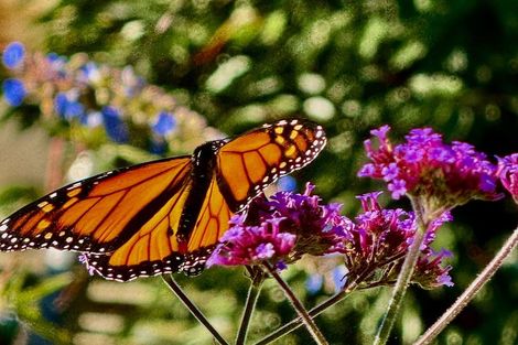 Photo of property in 18 Orr Street, Duntroon, 9494