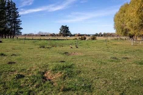 Photo of property in 107 Turiwhaia Road, Tuahiwi, Kaiapoi, 7691