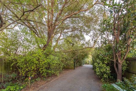 Photo of property in 26 Bryndwr Road, Fendalton, Christchurch, 8052