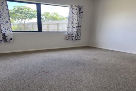 Photo of property in 17 Hockin Place, Fairfield, Hamilton, 3214