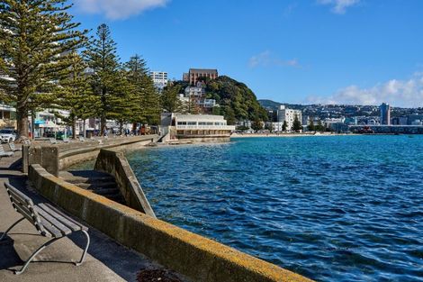 Photo of property in Wharenui Apartments, 274 Oriental Parade, Oriental Bay, Wellington, 6011