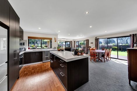 Photo of property in 11 Biron Place, Stratford, 4332