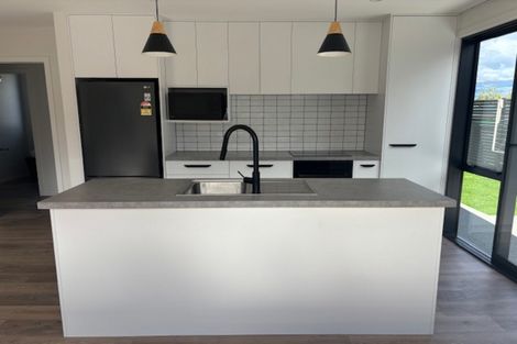 Photo of property in 154 Tarbert Street, Alexandra, 9320