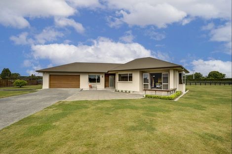 Photo of property in 1316 Southland Road, Longlands, Hastings, 4120