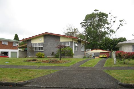 Photo of property in 28 Morrow Terrace, Pukekohe, 2120
