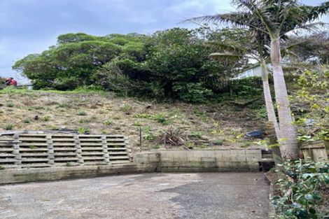 Photo of property in 42 Hohiria Road, Hataitai, Wellington, 6021